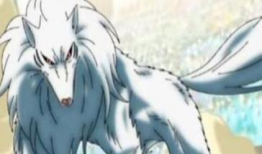 狼动漫,探寻狼族世界的奇幻冒险之旅